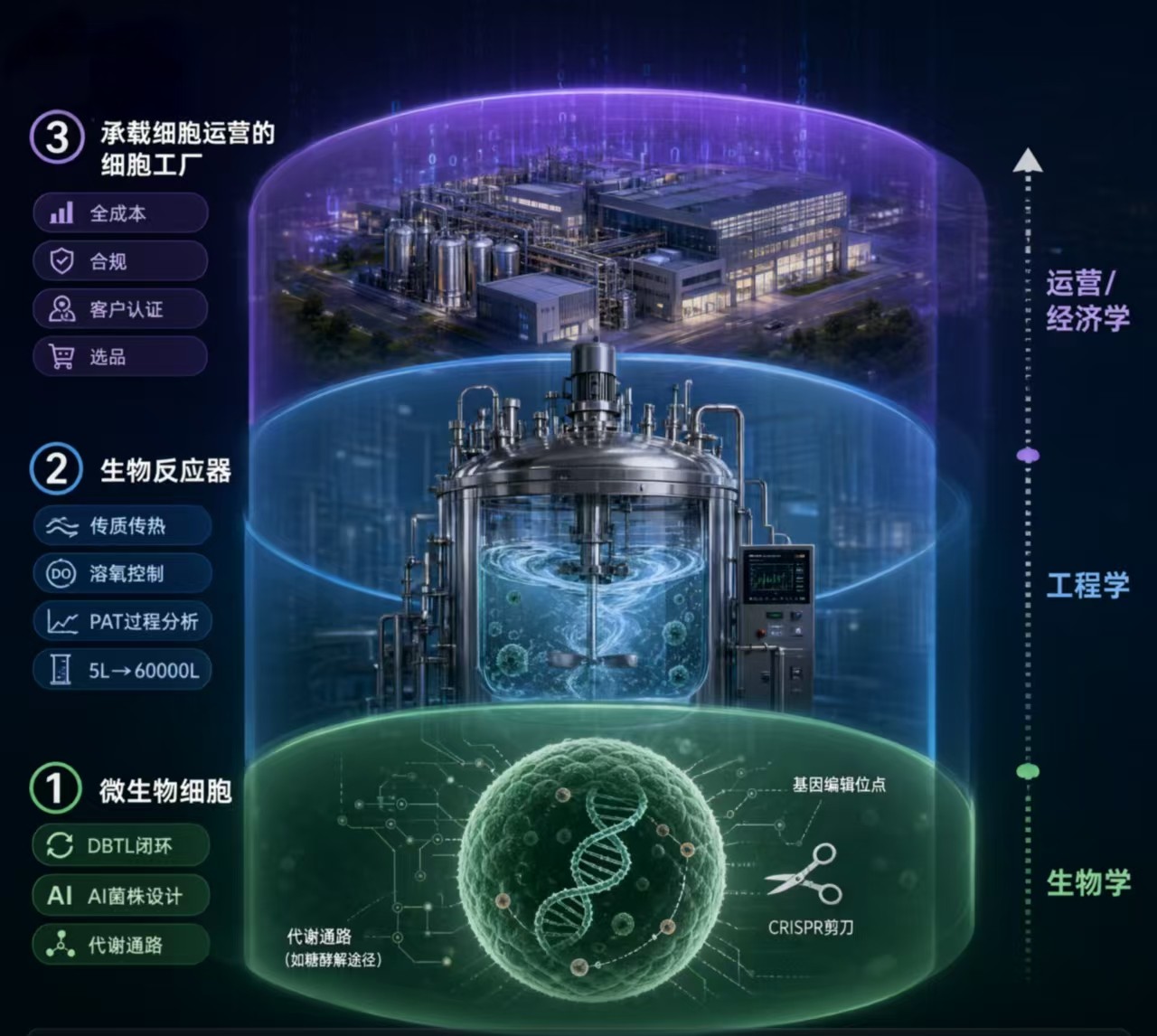 细胞工厂图1.jpg